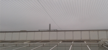 Terminator Pest Control Wood Worm