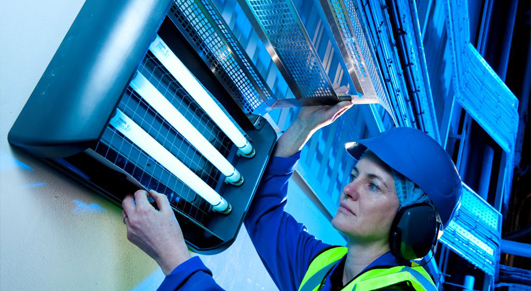 Brown Marmorated Stink Bug