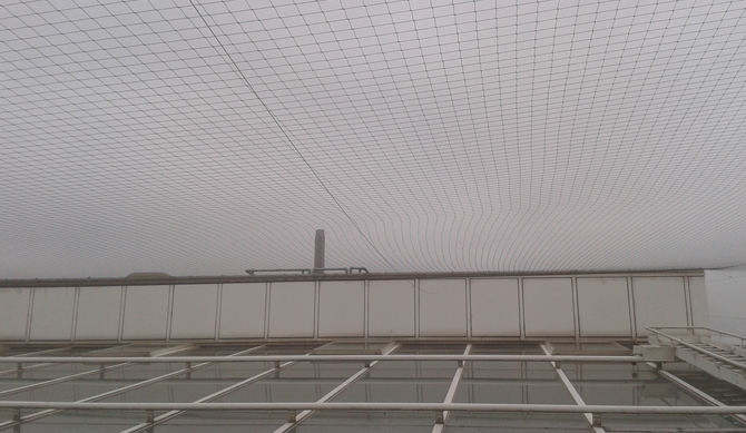 Terminator Bird Proofing